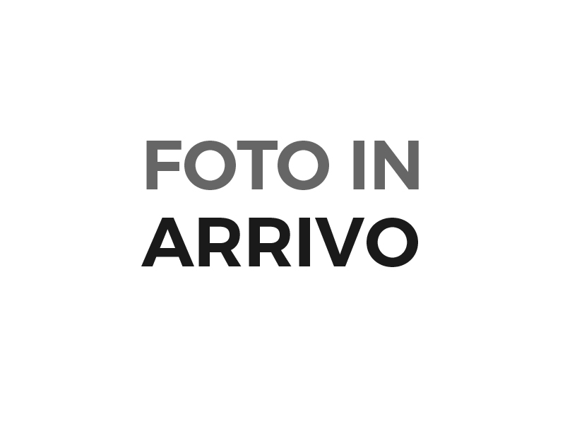 BMW Serie 2 A.T.  (F45)